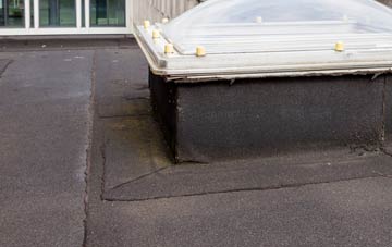 disadvantages of West Learmouth flat roofs
