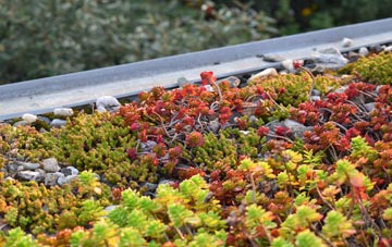 the cost of West Learmouth green roof installation