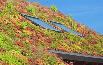 West Learmouth living roof systems